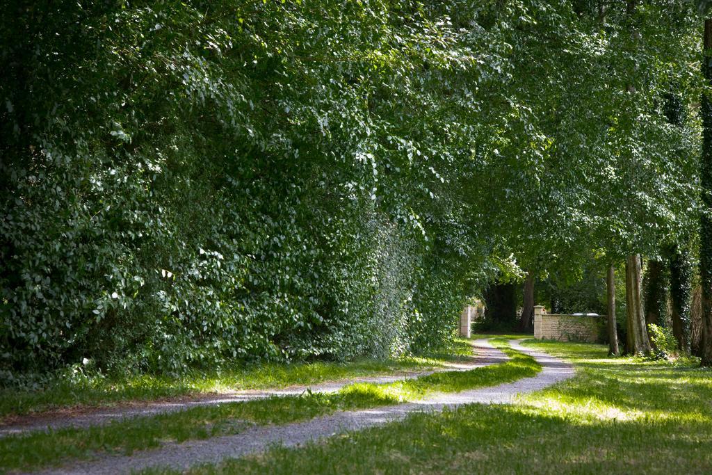 Château Magnifique: Renovated Retreat with Park Views and Game Room Tilly-sur-Seulles Exterior photo